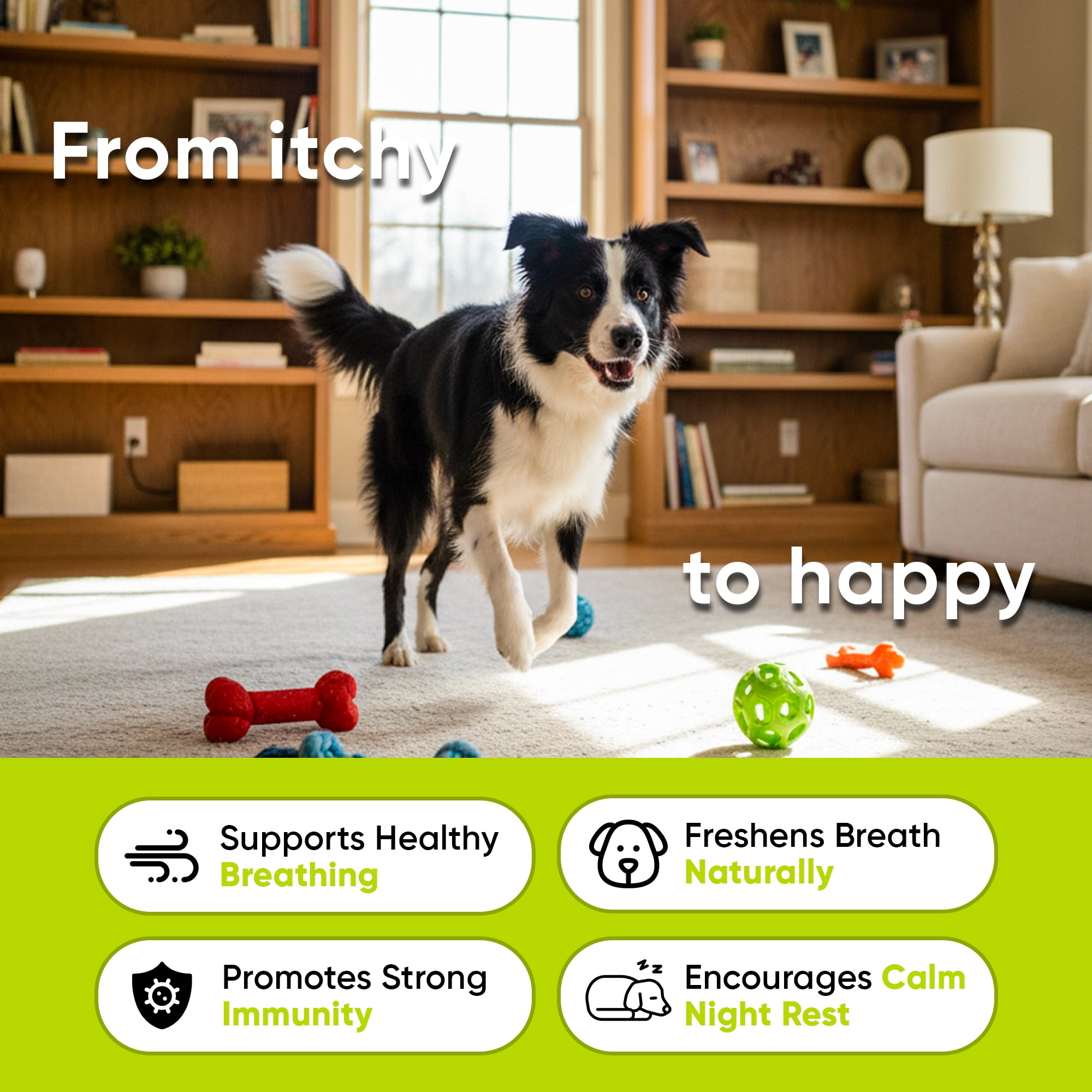 Dog Allergy Relief Chews – Anti Itch for Dogs with Colostrum & Salmon Oil – Reduces Paw Licking & Hot Spots – Omega 3 Fish Oil - Dry Skin & Coat Supplement for a Happy, Healthy Pup - 180 Count