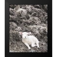 thumbnail image 2 of Hyler, JB 20x24 Black Modern Framed Museum Art Print Titled - Sheep Vibes, 2 of 5