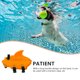 thumbnail image 5 of KAKOWELY Chaleco salvavidas de natación para mascotas, traje de baño de nailon para perros en piscinas interiores, chaleco de seguridad para cachorros, 5 of 5