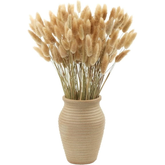 MIHUAGE 17-Inch Artificial Dried Rabbit Tail Pampas Grass Bouquet, 120-Count