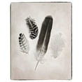 thumbnail image 2 of Van Swearingen, Debra 12x14 White Modern Wood Framed Museum Art Print Titled - Feather Group I BW, 2 of 4