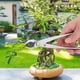 thumbnail image 3 of Multifunctional Stainless Steel Branch Cutter Garden Pruning Shear Scissors Bonsai Tools, 3 of 5