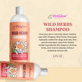 thumbnail image 2 of PetGlow Pure & Natural Wild Herbs Shampoo for Dogs & Cats,  Reduces Itching & Odor Coat Shield with Aritha, Tulsi, Amla & Soap Nut, Has No Parabens, Sulphates, Synthetic Colors, 8 fl oz., 2 of 11