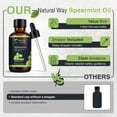 thumbnail image 4 of Spearmint Essential Oil for Diffusers, 4 of 9