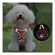 thumbnail image 5 of Arnés Para Mascotas, Correa Para Perros, Chaleco De Pomerani, 5 of 8