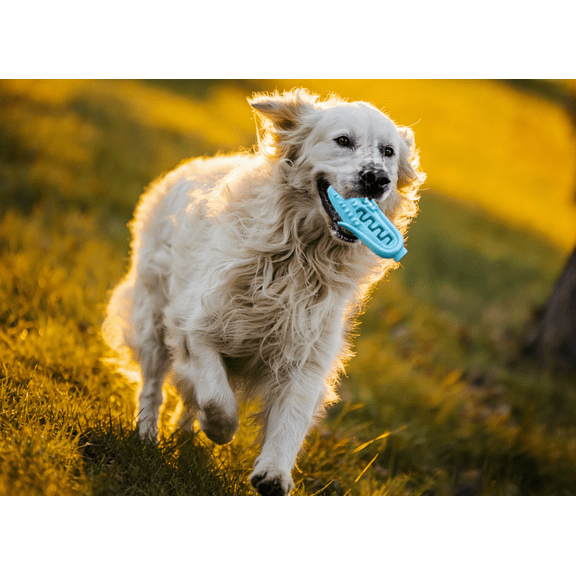 Heavy-Duty Squeaky Chew Toy – Power Chewers Approved