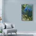 thumbnail image 3 of Trademark Fine Art 'Two Blue Macaws' Canvas Art by Michael Jackson, 3 of 3