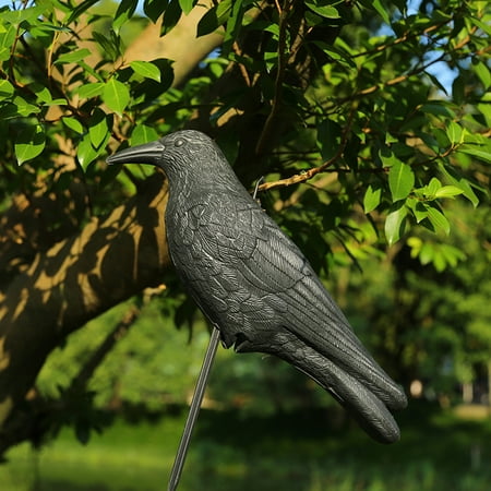 

Glue Tray Dt160 Sticky Poop Organic Spray Indoor Leaf Wellness Spray for Decoration Scary Bird Crow Jewelry