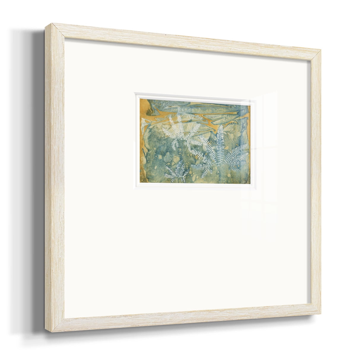 Floating FernsPremium Framed Print