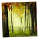 thumbnail image 3 of Tapiz 3D impermeable para colgar en la pared, ideal para interiores y exteriores., 3 of 9
