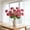Hot Pink, variant on YIMWNYI 3 Headed Artificial Peony Bouquet, Realistic Faux Flowers, Home Decoration, Elegant Gift Idea, Lifesize Imitation Floral Arrangement, Maintenance-Free Decor