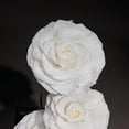 thumbnail image 3 of 4 Preserved Flowers in Glass Dome - Roses Gift for Her - Birthday Flowers for Women, White, 3 of 5