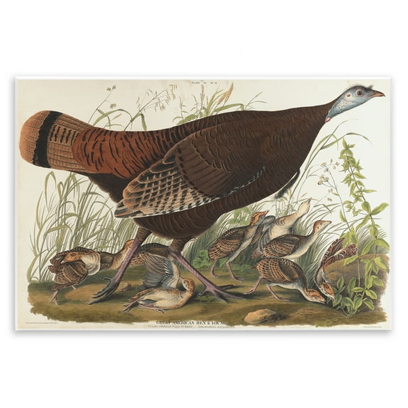 Stupell Industries Classic Great American Hen Animals Painting Unframed Art Print Wall Art, 15 x 10