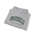 thumbnail image 4 of Brussels Griffon Hoodie Gifts Hooded Sweatshirt Pullover Shirt, 4 of 4