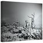 Mark Ross "You Just Do" Wrapped Canvas Art