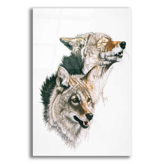 Epic Art 'Nature's Minstral' by Barbara Keith, Acrylic Glass Wall Art, 16"x24"