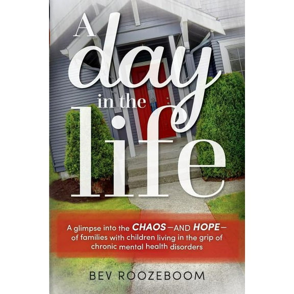 A Day in the Life (Paperback)