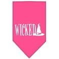 thumbnail image 5 of Mirage Pet Products Wicked Screen Print Bandana Blue Camo, 5 of 8