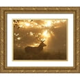 thumbnail image 1 of Morgan, Greg 14x12 Gold Ornate Wood Framed with Double Matting Museum Art Print Titled - Ghost of the Forest, 1 of 4