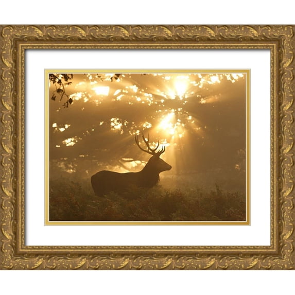 Morgan, Greg 14x12 Gold Ornate Wood Framed with Double Matting Museum Art Print Titled - Ghost of the Forest