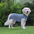 thumbnail image 3 of Traje de recuperación para perros Monos para gatos para heridas abdominales Camisa de recuperación para hombres y mujeres Traje quirúrgico cómodo para mascotas Después de la cirugía Mono para perros, 3 of 8