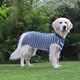 thumbnail image 3 of Traje de recuperación para perros, monos para gatos, camisa de recuperación de heridas abdominales para hombres, mujeres, mascotas, traje quirúrgico ajustado después de la cirugía, monos para perros antilamer MFZFUKR 223188-3, 3 of 8