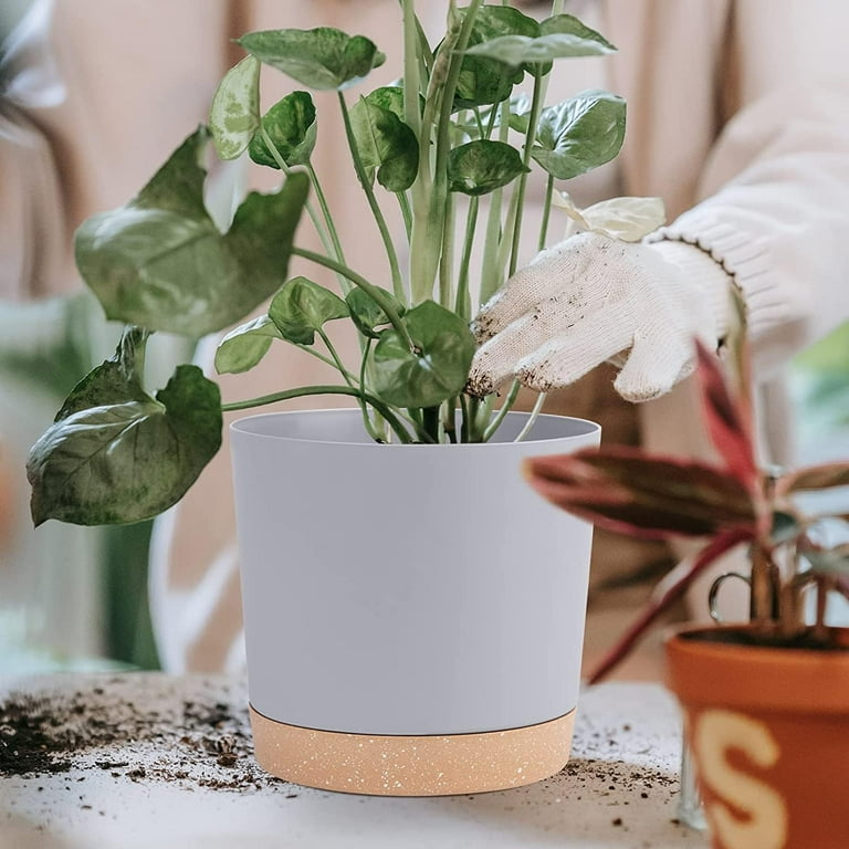 QCQHDU 2 Pack Plant Pot, Green Plastic Indoor Planter With Drainage Holes  And Removable Base