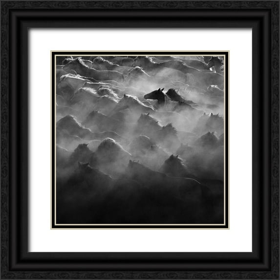 Zheng, Na Anna 26x26 Black Ornate Wood Framed with Double Matting Museum Art Print Titled - Leader