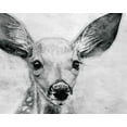 thumbnail image 2 of Cusson, Marie Elaine 24x20 Gold Ornate Wood Framed with Double Matting Museum Art Print Titled - Portrait of a Fawn, 2 of 4