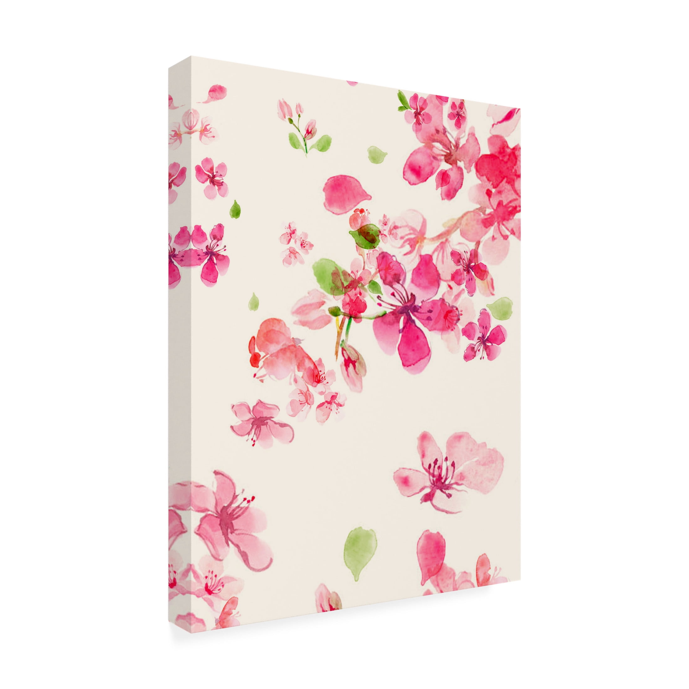 Trademark Fine Art Emel Tunaboylu Rectangle 13 Canvas Wall Art