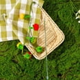 thumbnail image 4 of LGCASL Funny Cat Stick, Interactive Shaped Toy String， Teaser Squeaky String with Bell Small Persimmon and Cherry Tomato Teeth Cleaning Chew Interactive Toys, Green, 4 of 8
