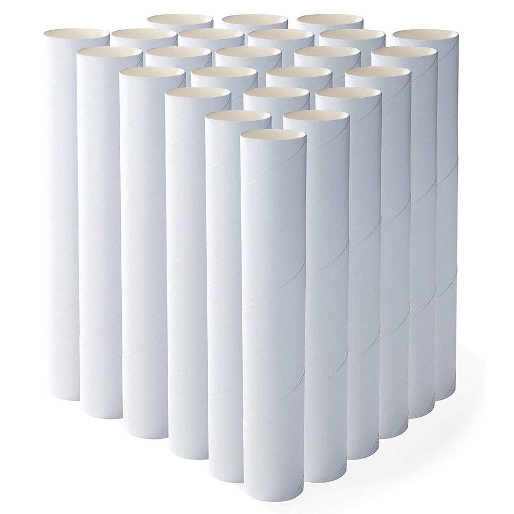 24Pack Craft Rolls 10 inch Paper Cardboard Tubes for Kids, Diy