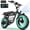 Black, variant on ESKUTE V201 Electric Bike for adults -Ebike with 500W, 48 V, 15.6 Ah Battery, 20 Inch Fat Tire, 7 Speed, Front Suspension, Black UL2849