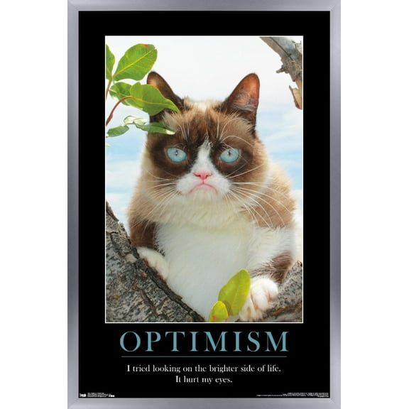 Grumpy Cat - The Brighter Side Wall Poster, 14.725" x 22.375", Framed