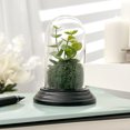 thumbnail image 2 of Plymor 1.85" x 3.5" Mini Glass Display Dome Cloche (Black MDF Wood Base), 2 of 3