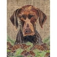thumbnail image 1 of Carolines Treasures SC9035GF German Shorthaired Pointer Flag - Garden Size, 1 of 3