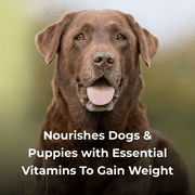 Pet-Ag Dyne High Calorie Liquid Supplement for Dogs & Puppies - 32 oz
