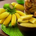 thumbnail image 2 of Hot Sale 100Pcs Dwarf Banana Tree Seeds Mini Bonsai Plant Rare Fruits Garden Decor, 2 of 6