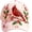 Cardinal Berry Garden, variant on 2026 Garden Morning Baseball Cap,Garde Women's Sparkle Multiple Floral Baseball Cap,Adjustable Pink Sun Hat with Rhinestones