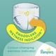 thumbnail image 4 of Pañales Pampers Swaddlers Recién Nacido >4,5 kg 80 unidades, 4 of 6