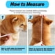 thumbnail image 4 of Correa para el collar de cuidado de perros, 4 of 5