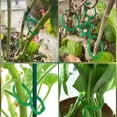 thumbnail image 5 of 500Pcs Plant Support Clips for Climbing Plants and Flowers Gardening Figure-Eight Securing Clips for Tomato Vines Trees and Securing Floppy Stems in Yard, 5 of 9