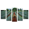 thumbnail image 1 of Juego de Cuadros Decorativos, Paisaje Agavero con Jimador, Estilo Tradición Mexicana, 5 Piezas, Ideal para Restaurantes y Cavas, 150x80cm, 1 of 5