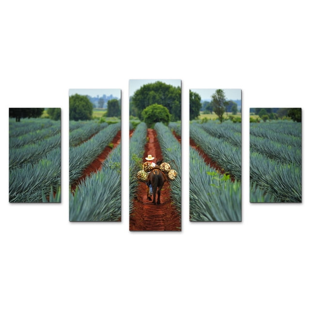 Juego de Cuadros Decorativos, Paisaje Agavero con Jimador, Estilo Tradición Mexicana, 5 Piezas, Ideal para Restaurantes y Cavas, 150x80cm
