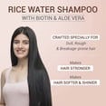 thumbnail image 4 of Sesa Rice Water Shampoo for Soft and Shiny Hair - 300 ml, 4 of 4