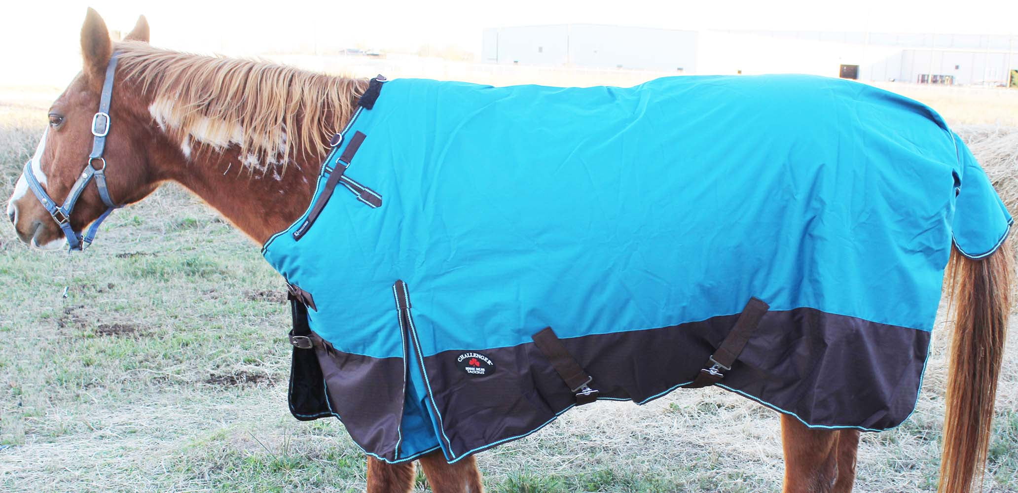 80" 1000D Turnout Waterproof Horse WINTER Coat BLANKET Teal 108 