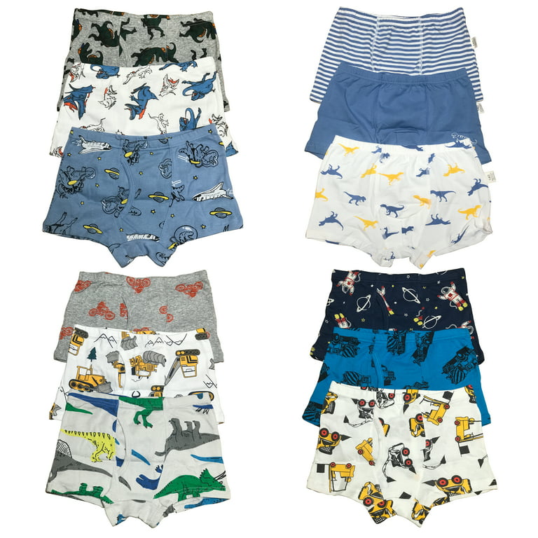 6 PK Cotton Toddler Little Boys Kids Dinosaur Underwear Boxer Briefs Size 4T  5T 6T 7T 8T 