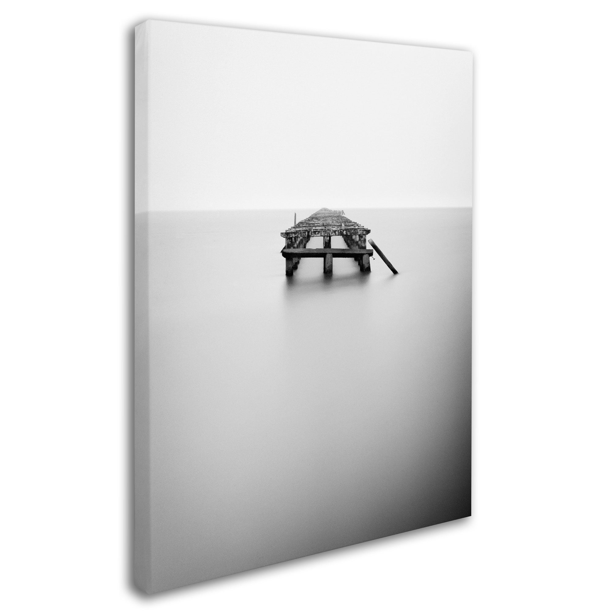Trademark Fine Art "Infinite Jest" Canvas Wall Art by Geoffrey Ansel Agrons