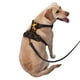 thumbnail image 2 of Balery Orange Lightning Arnés para Perros Grandes Antitirones, Arnés con Correa para Gato, Arnés Tipo Chaleco para Perros Pequeños-Large, 2 of 6