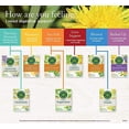 thumbnail image 2 of Traditional Medicinals Tea, Organic Dandelion Leaf and Root Tea, 16 Bags, 2 of 4